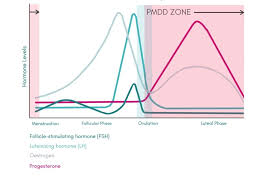 Although pms and pmdd both have physical and emotional symptoms. Think You Have Pmdd Iapmd