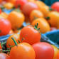Ashfield Farmers’ Market