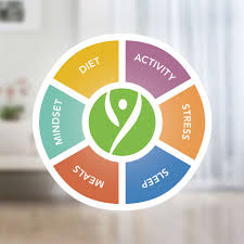 Kesihatan bermula daripada anda.amalan gaya hidup sihat, memberi faedah kepada kecergasan fizikal yang seterusnya memanfaatkan diri, organisasi dan negara. Enam Komponen Kunci Gaya Hidup Bodykey Malaysia