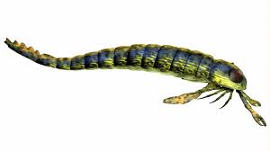 Is an ancient sea scorpion the largest bug ever to live on Earth? |  HowStuffWorks