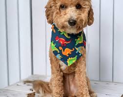 Dinosaur Dog Bandana, Tie