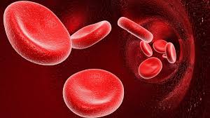 Image result for Rh Sensitization