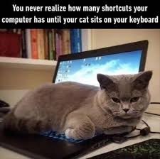 One Of Those Shortcuts Is Install Every Virus In Existence Cats Know Your Meme