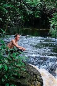 From the other hoofed amazon jungle animals, the peccaries are the most common. Explore Deep Into The Amazon Jungle Airbnb