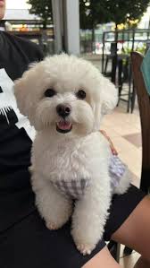 Crystal Mccombs (memphissweets9)