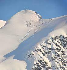 Alaska snow penis