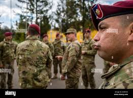 Fearless guardian hi-res stock photography and images