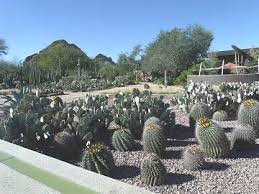 A shared lounge and a terrace to relax are available here. Desert Botanical Garden Wikiwand