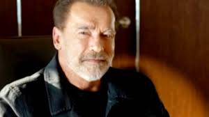 Arnold Schwarzenegger slapped with lawsuit by woman left 'permanently  disabled' after car crash