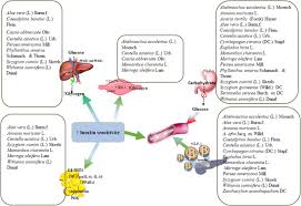 Image result for Chassalia umbraticola