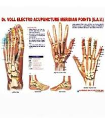 Details About Acupuncture Meridian Points Chart E A V