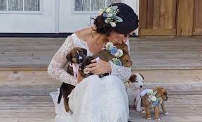 After seeing a picture of a bridal party holding puppies instead of bouquets last fall. Bridesmaids Trade Bouquets For Puppies