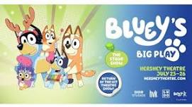 Bluey's Big Play