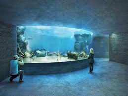 Ozeanium Zoo Basel The Zoo Zoo Ausflug