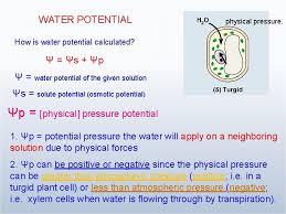 Maybe you would like to learn more about one of these? 2 Water Potential Is A Concept That Helps