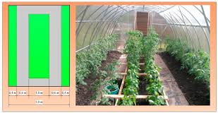 как правильно сделать грядки в теплице 3 на 6 Kak Sdelat Gryadki V Teplice Iz Polikarbonata Luchshie Varianty Instrukcii