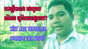 Find images of pregnant woman. Top 10 Santol Fruit Health Benefits Pregnant Women Skin Sexual Health Kh ážŸ ážáž— áž–áž• áž› ážœáž— áž' Youtube