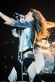 David lee roth exes include elle macpherson, ann boleyn, and sabrina guinness. David Lee Roth Wikipedia