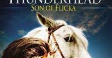 Thunderhead Hijo De Flicka 1945 Online Pelicula Completa En Espanol Fulltv