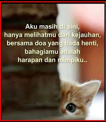  10 Ide Kucing Berdoa Kucing Doa Bayi Hewan Lucu