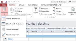 Ale bazelor de date, folosind microsoft access. Microsoft Access NoÈ›iuni De BazÄƒ Mykey Software