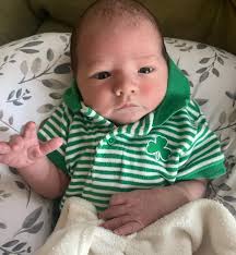 Mary Densmore (@bee_simple) • Instagram photos and videos