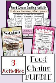 Food Chains Bundle Activity Set Science Lessons Elementary Food Chain Science Classroom