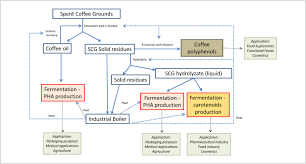 Biotechnological Conversion Of Spent Coffee Grounds Into