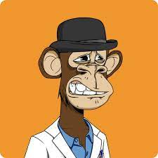 Nfts Are Stupid And A Scam And The Bored Ape Yacht Club Can Suck My Dick I Stole Your Stupid Jpeg R Opensea