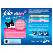 The kittens can eat kitten foods and they will start to develop preference of foods and it will last for the rest of their life. Felix Kitten Cat Food Mixed Selection In Jelly 12 X 100g 12 X 100g At Fetch Co Uk The Online Pet Store