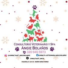 Consultorio Veterinario y Spa Angie Bolaños