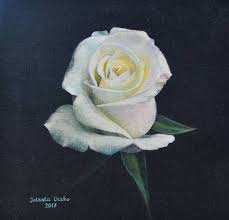 In the garden, white roses have also played starring roles, providing a cool and fragrant respite between more brightly colored bloomers. Beautiful White Rose 2 Painting By Jolanta Oczko Saatchi Art