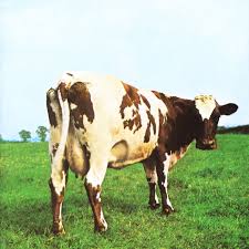 Image result for copertine dischi pink floyd