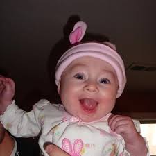 My Favorite Terrible Thing: A Novel eBook : Henry, Madeleine: Amazon.ca:  Kindle Store