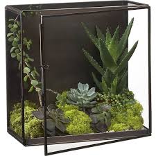 Vases Glass Ceramic And Metal Wall Terrarium Terrarium Vases Decor