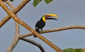 Demand meaning in hindi : Where To Buy Dapoxetine Reliable Medications Buy Dapoxetine Usa