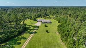 Image result for magnolia genia