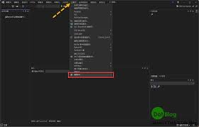 Visual Studio 中透過API Key 存取Apple Developer Account ...