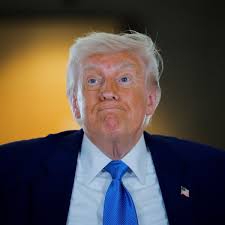 North Carolina Republican uses 'connections with the Trump admin' to  threaten reporter