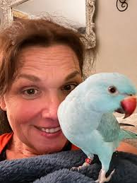 A few of you know, but I wanted to introduce you to Ryan's bird, Shelby. He  is an Indian Ring Neck bird. He is about 5.5 months old. He is larger than