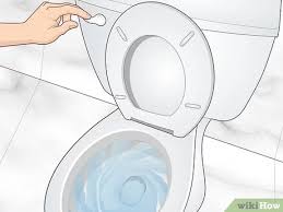 8 Easy Ways To Prevent A Toilet Bowl From Staining Wikihow