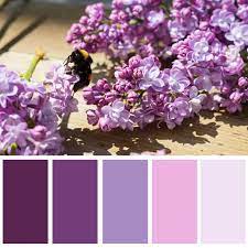 Colours Photo Decor Color Schemes Paint Color Combos Paint Color Palettes