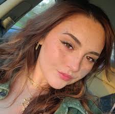 Mexican restaurant-style rice recipe or brand?