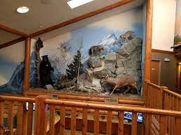 I was saddened by the new company policy of no firearms sales to. View Of Cabela S Cabin Room 2nd Floor Picture Of Best Western Dundee Tripadvisor