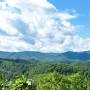 Great Smoky Mountains National Park from smokymountains.com