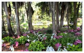 Proflowers.com has been visited by 10k+ users in the past month About Us Caffco Floral Outlet