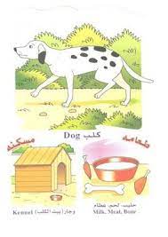 الحيوانات أسمائها طعامها مكان عيشها animals supportive dogs