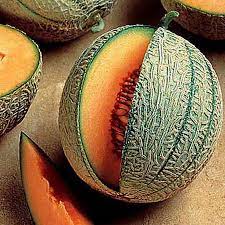 Go to bed and then on the next day, visit the clinic and speak to amber (ambrosia's human form), then watch the event. Ambrosia F1 Melon Seeds Urban Farmer