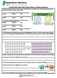 Mitosis Vs Meiosis Comparison Select Recap Answer Key By Amoeba Sisters