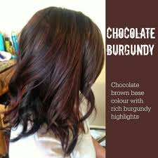 Pin By Eleana Long On Hair Burgundy Brown Hair Brunette Hair Color Hair Color Chocolate